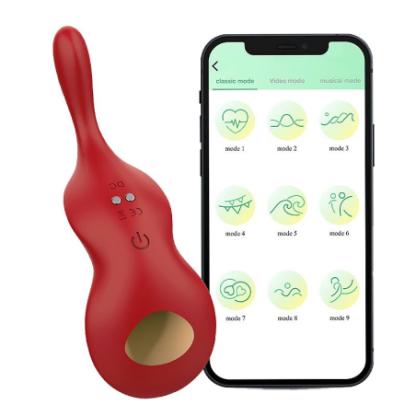 Vibrador de Calcinha APP  À Longa Distância  Déli
